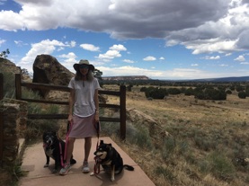 Susie and Misty, Rebecca's rescue dogs